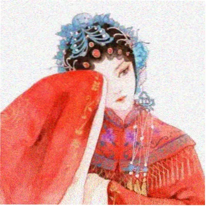 读者白露未晞的头像